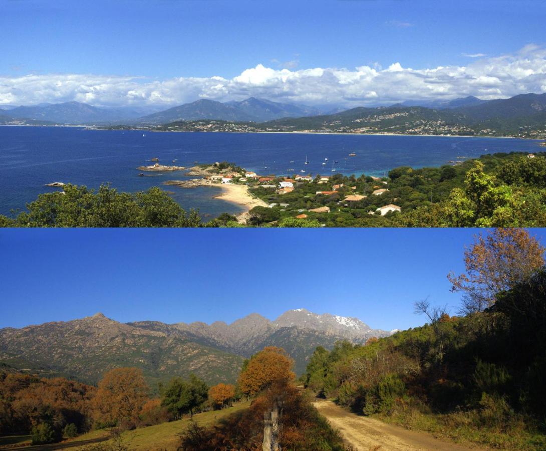 95M2 Au Calme A 25Mn Ajaccio, Plages, Linge Inclus Parking Ok Ucciani 외부 사진