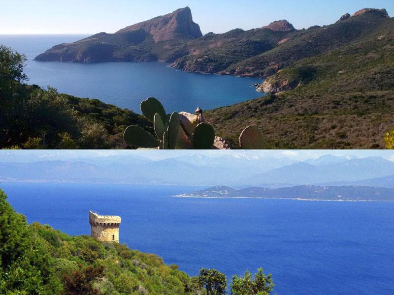95M2 Au Calme A 25Mn Ajaccio, Plages, Linge Inclus Parking Ok Ucciani 외부 사진
